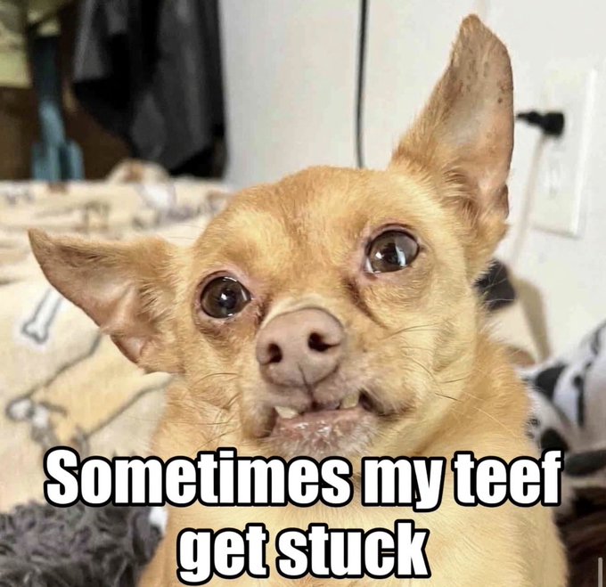 Cricket meme 1