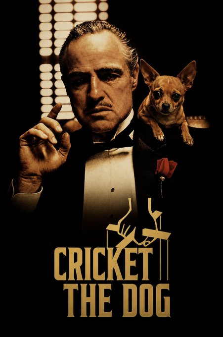 Cricket meme 7